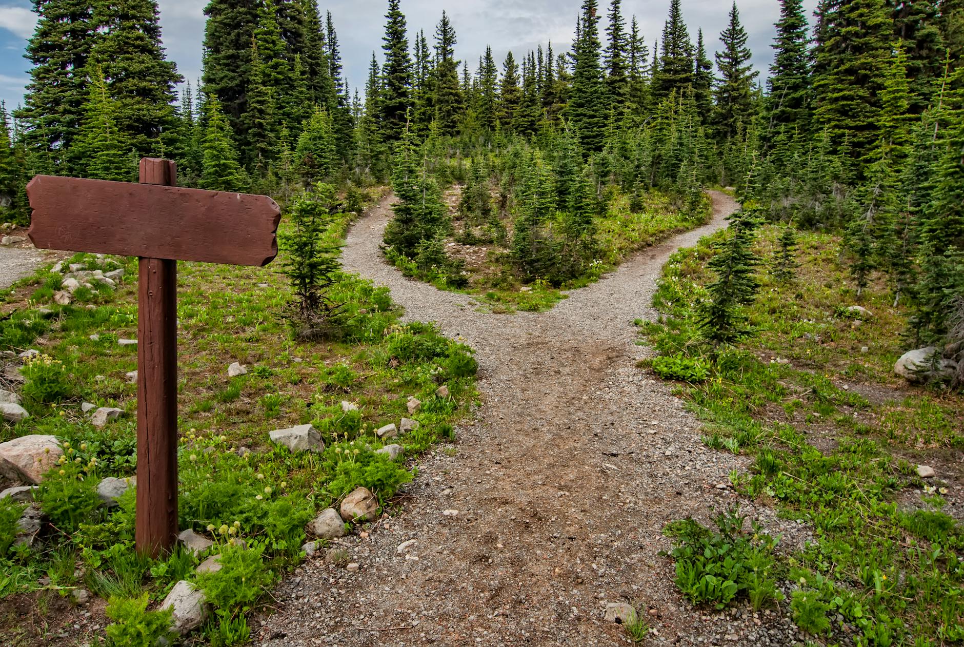How the Availability Heuristic Skews Your Thinking (and What to Do About It)